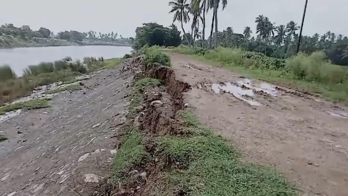 bhargavi river embankment collapsed in puri