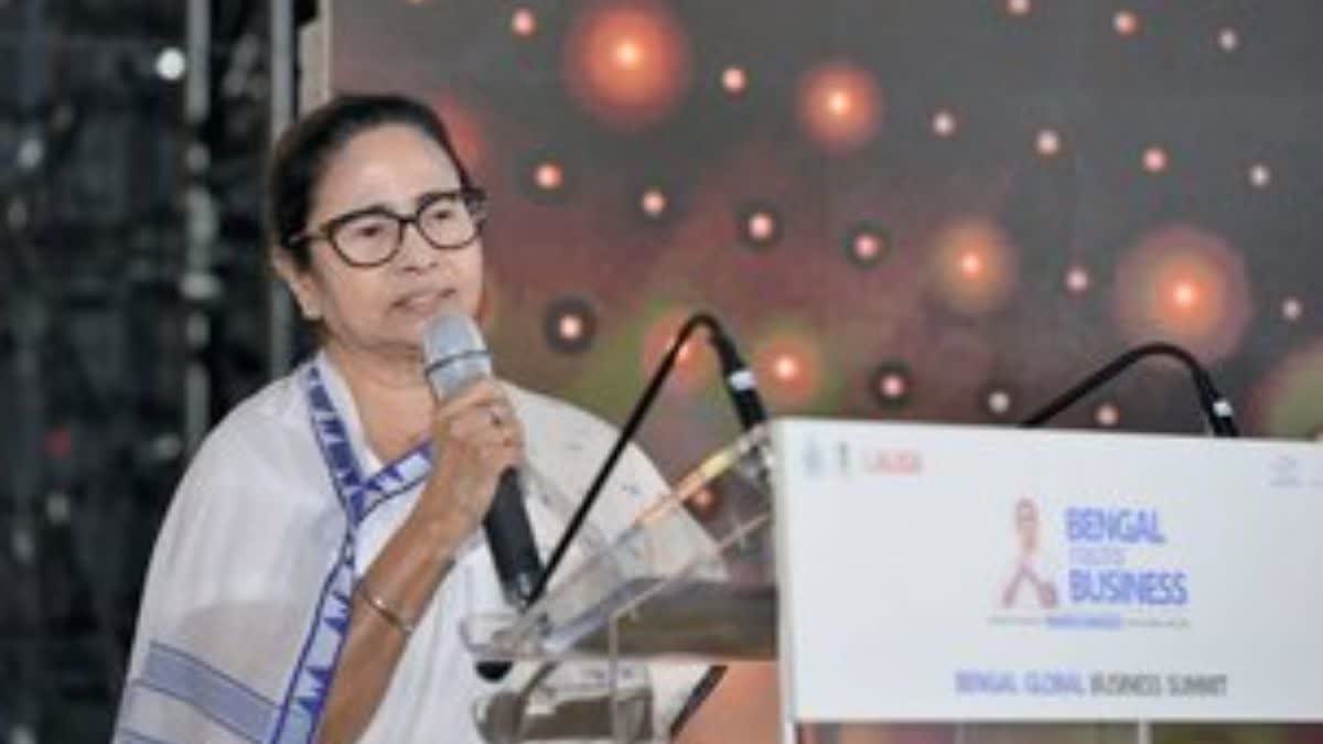 CM Mamata Banerjee In Spain