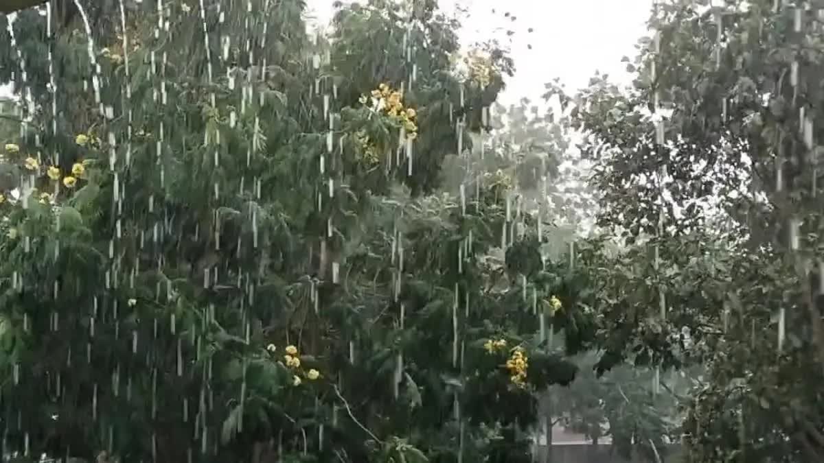 Gujarat Rain : ગુજરાતમાં સતત પાંચ દિવસ વરસાદ રહેશે, ચોથા દિવસે ભારેથી અતિ ભારે વરસાદની હવામાન વિભાગની આગાહી