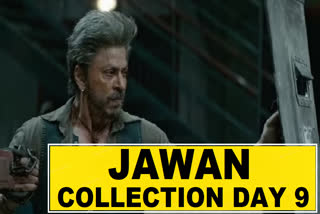 Jawan Collection Day 9