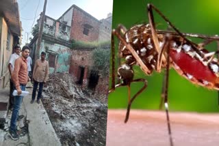 सिवान में डेंगू के 42 मरीज मिले