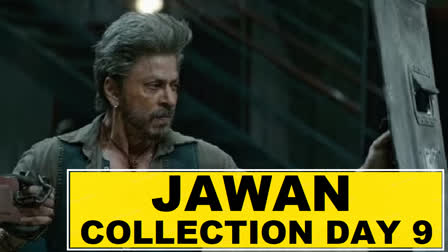 Jawan Collection Day 9