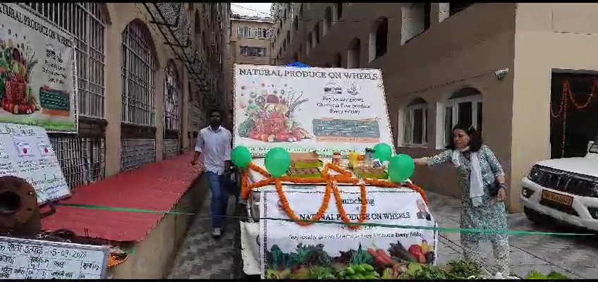 Vegetable on Wheels