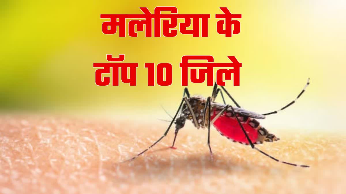 health news top 10 districts of up most malaria patients found symptoms treatment mosquito test