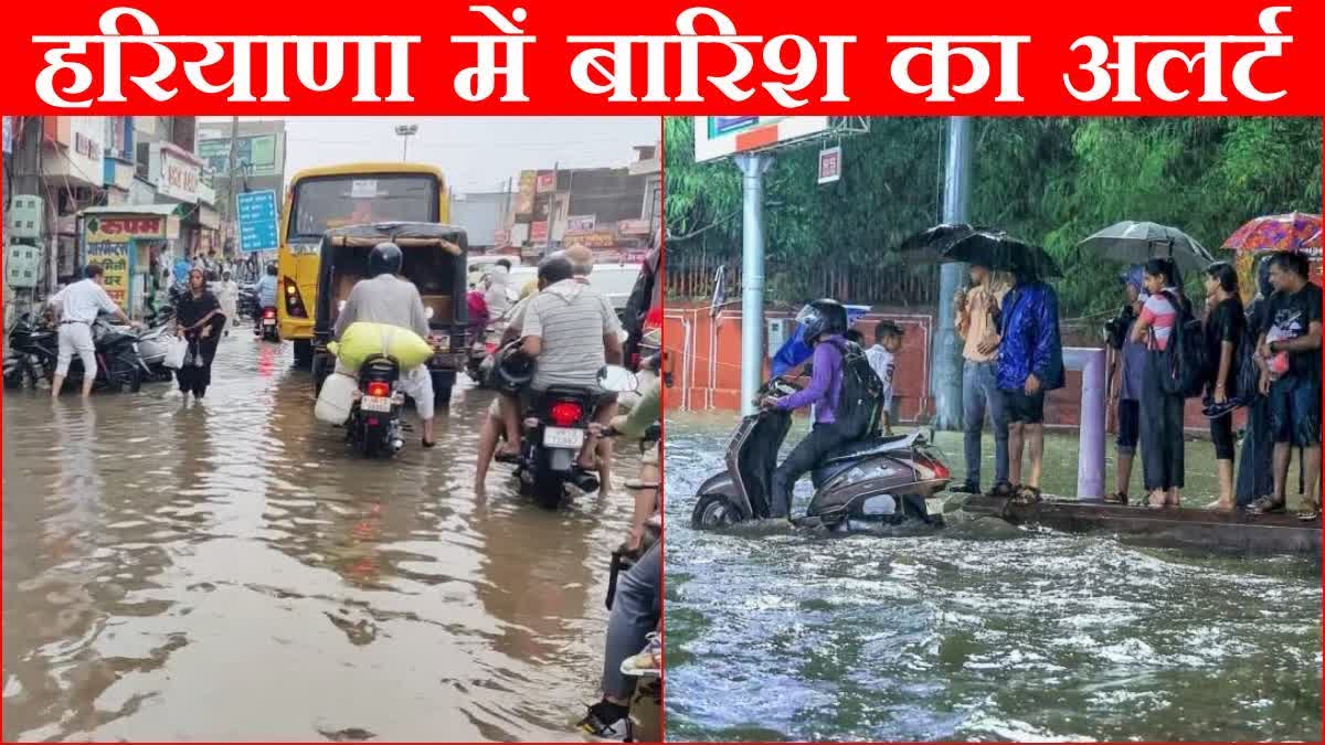 Rain Alert in Haryana