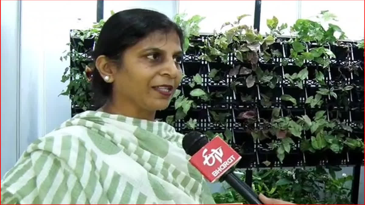 Chandigarh Vertical Garden