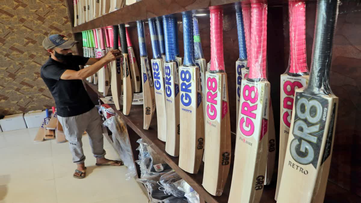 cricket bats