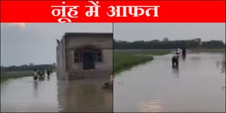 Canal broken in Haryana Nuh houses and fields filled with water