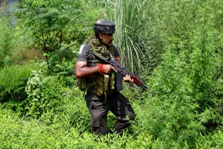 Poonch encounter