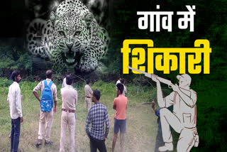 leopard arrival in Rudri Panchayat of Dhamtari