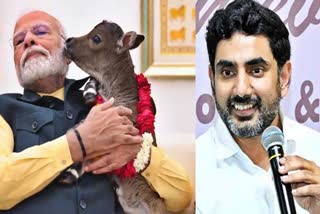 Nara Lokesh Tweet on Modi with Punganur Cattle