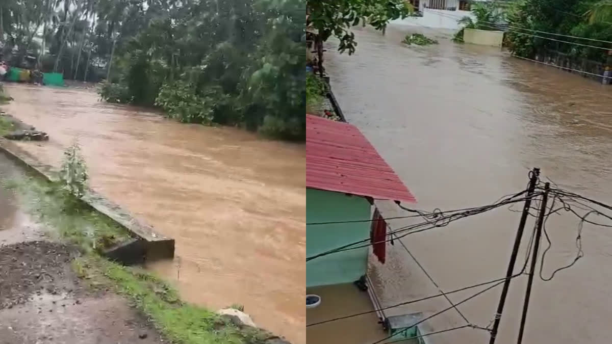 damage in Thiruvananthapuram due to Rain  Widespread damage in Thiruvananthapuram  Damage in the capital due to rain  Heavy Rain in Thiruvananthapuram  Heavy Rain in kerala  Heavy Rain  rain alerts  rain update  മഴക്കെടുതിയില്‍ തലസ്ഥാനത്ത് വ്യാപക നാശനഷ്‌ടം  തലസ്ഥാനത്ത് മഴക്കെടുതി  തിരുവനന്തപുരം ജില്ലയിൽ മഴ  തിരുവനന്തപുരം ജില്ലയിൽ വ്യാപക മഴ