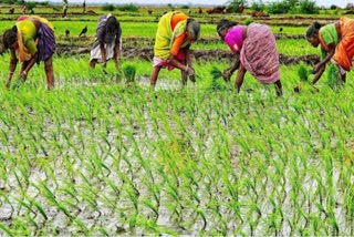 International Day Of Rural Women