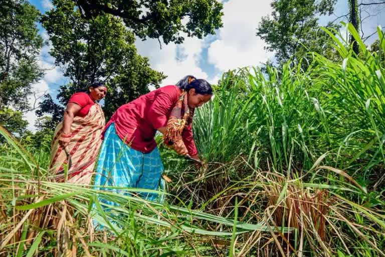 International Day Of Rural Women