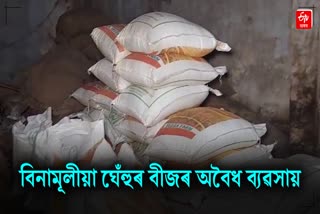 wheat seeds recovered