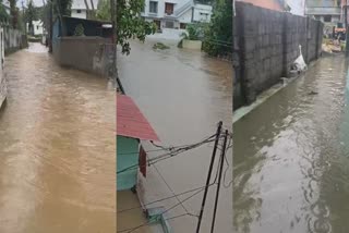 Thiruvananthapuram Weather update  Heavy Rain At Thiruvananthapuram  rain  Rain Update tvm  തിരുവനന്തപുരം താലൂക്ക് കൺട്രോൾ റൂം നമ്പറുകൾ  മഴ  തിരുവനന്തപുരത്ത് കനത്ത മഴ  തലസ്ഥാനത്ത് വെള്ളക്കെട്ട്  സംസ്ഥാനത്ത് യെല്ലോ അലർട്ട്  മഴ വാർത്ത