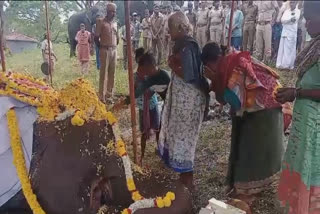 Gudalur elephant deat