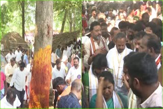 Pydithalli_Ammavari_Sirimanu_Tree_Relocation