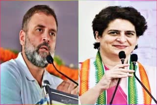 Rahul and Priyanka Gandhi Vadra