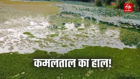 Bad Condition of Kamal Taal Lake