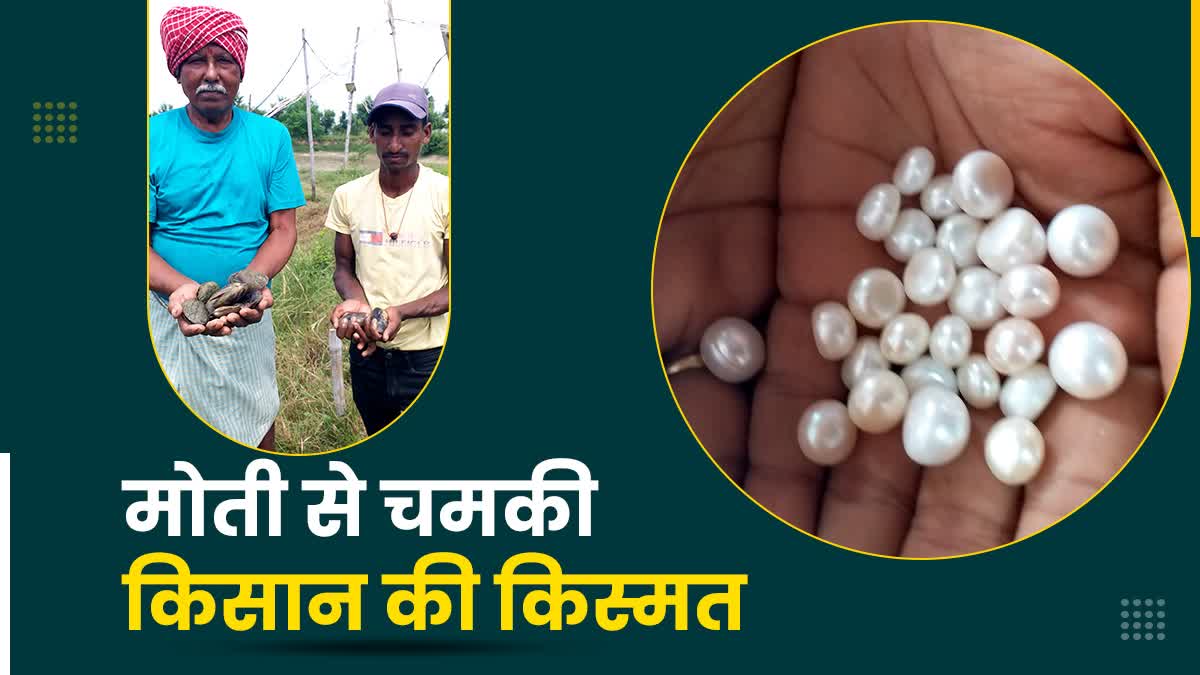 मसौढ़ी में सीप मोती की खेती