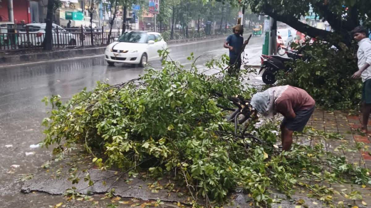 Heavy Rain In Bengaluru: BBMP Chief Commissioner Tushar Girinath Notice To Authorities