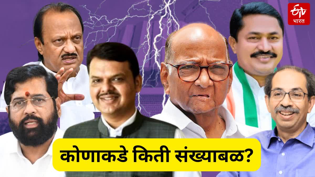 MAHARASHTRA ASSEMBLY ELECTION 2024