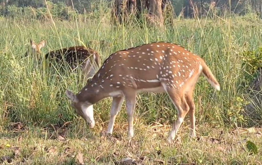 Bijrani tourism zone opened