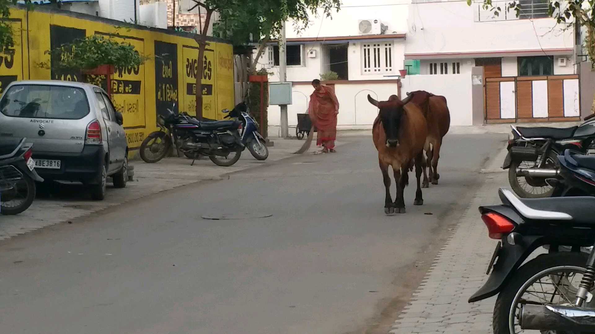 ખાનગી સોસાયટીઓ જાતે સફાઈ કરાવશે તો મળશે પૈસા