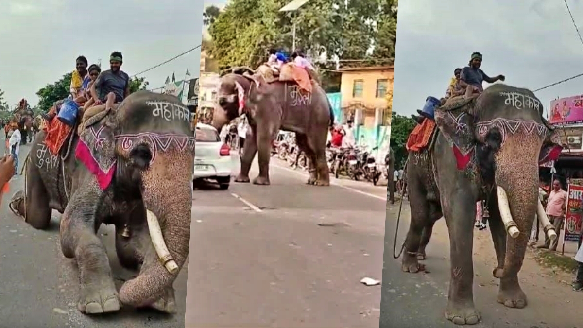 सारण में हाथी का रौद्र रूप