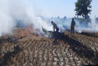 AIR POLLUTION IN HARYANA