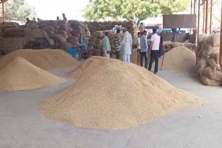 BALLABHGARH GRAIN MARKET