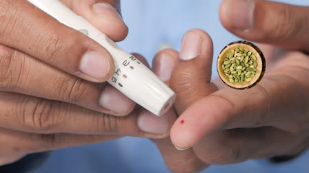 how-will-green-cardamom-control-the-sugar-level-how-beneficial-is-it-for-diabetes-patients