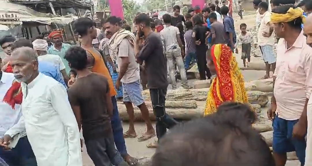 sitamarhi idol immersion