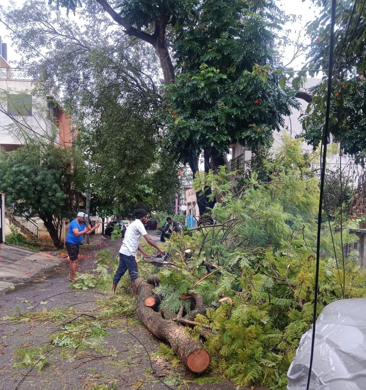 Heavy Rain In Bengaluru: BBMP Chief Commissioner Tushar Girinath Notice To Authorities