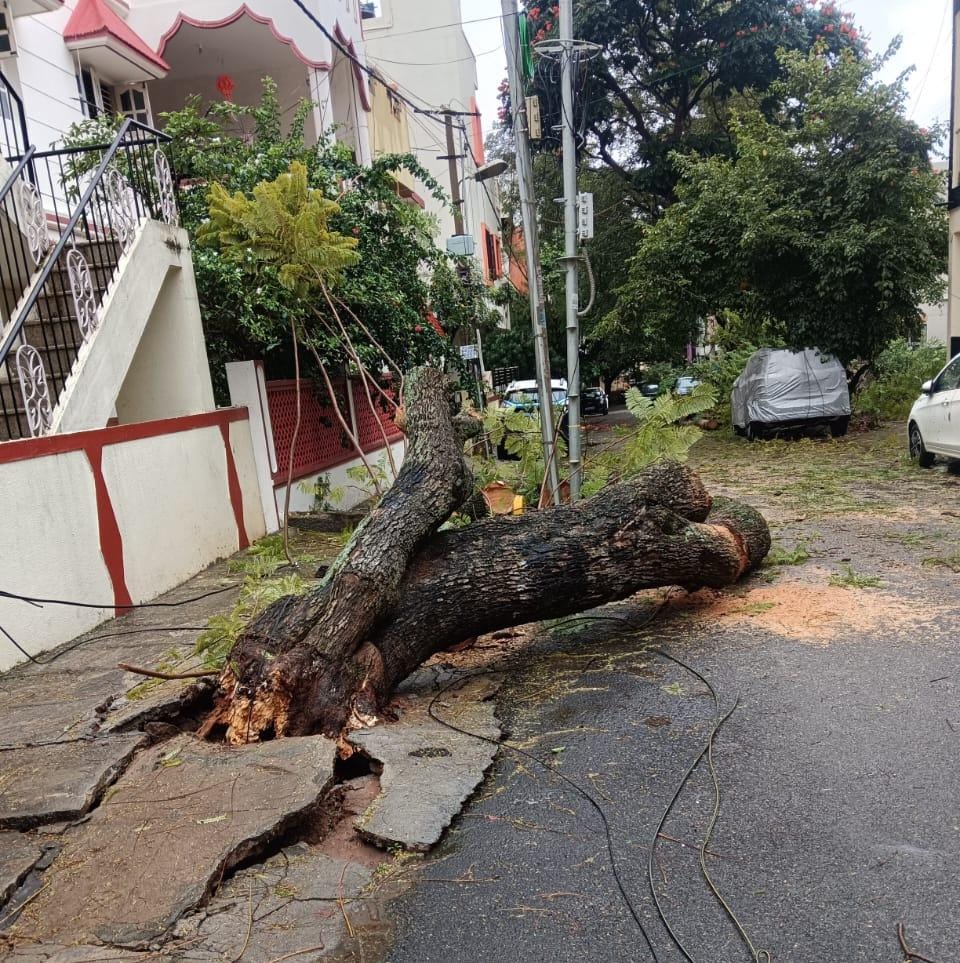 Heavy Rain In Bengaluru: BBMP Chief Commissioner Tushar Girinath Notice To Authorities