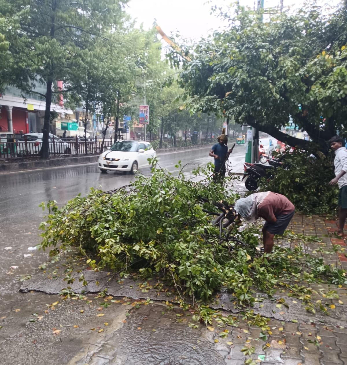 Heavy Rain In Bengaluru: BBMP Chief Commissioner Tushar Girinath Notice To Authorities