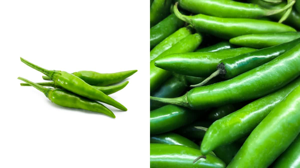 Green Chilli Health Benefits In Telugu