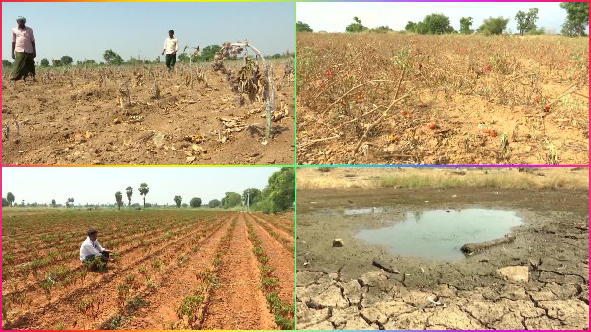 heavy_drought_conditions_in_old_kurnool