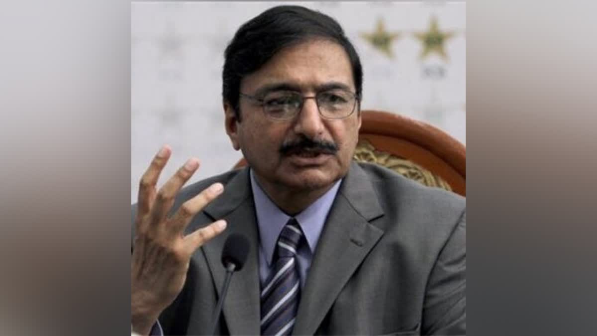 pcb-sack-pakistan-selection-committee-after-world-cup-failure-reports