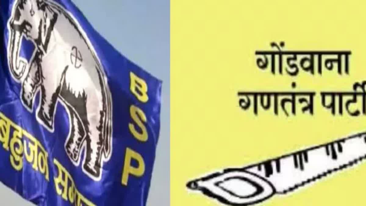 BSP का नाम इस्तेमाल करने पर गोंडवाना पार्टी के प्रत्याशी की शिकायत