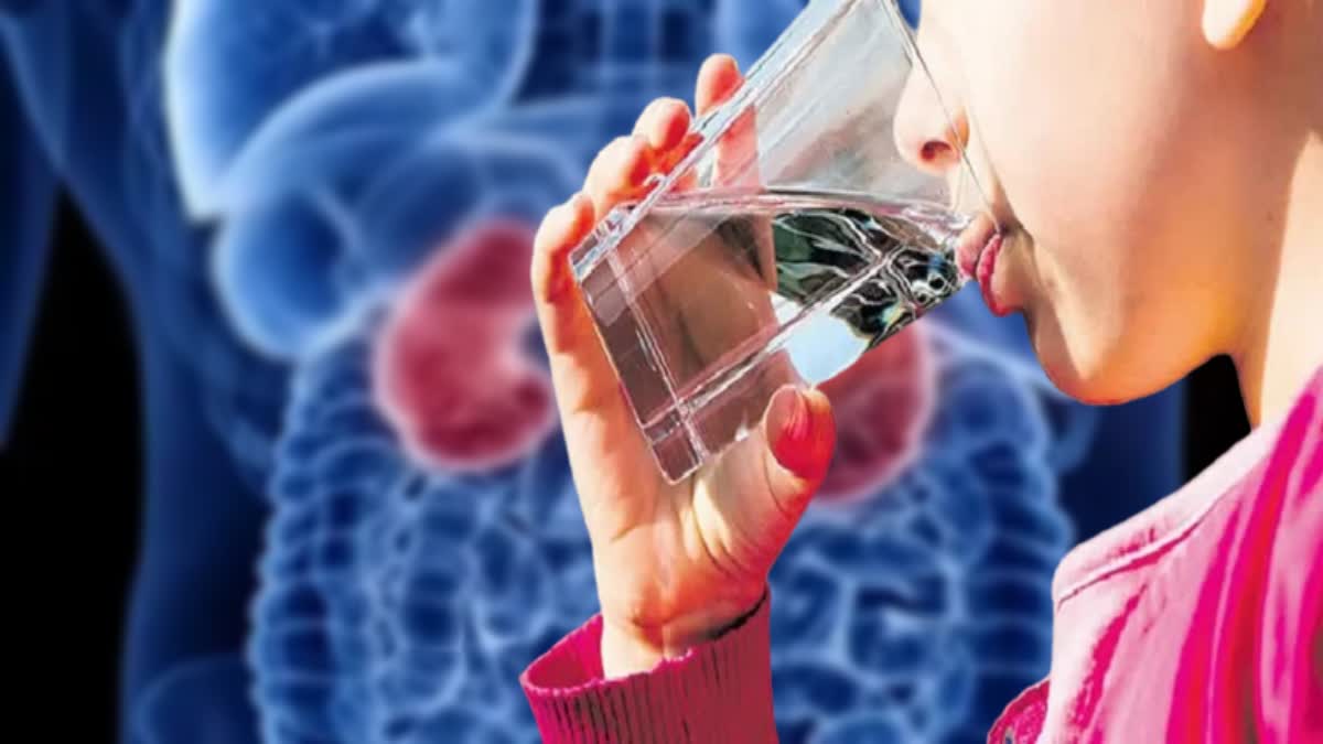 Drinking Water for Kidney Health News