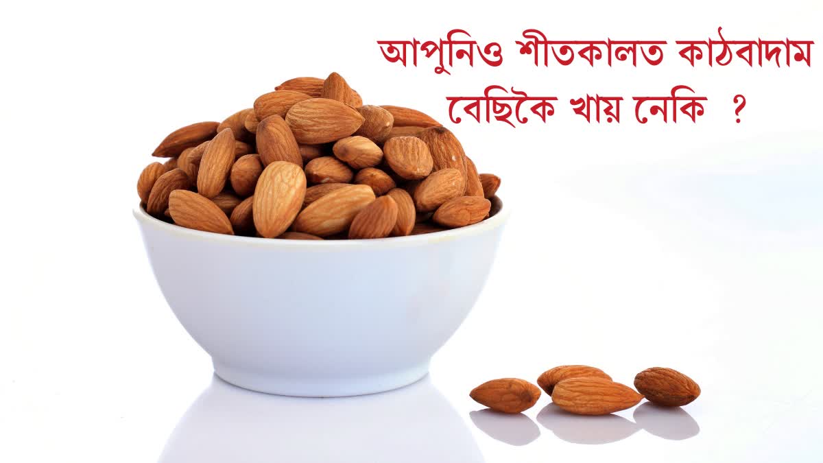 Do you also eat too many almonds in winter, then it can cause major harm to the body