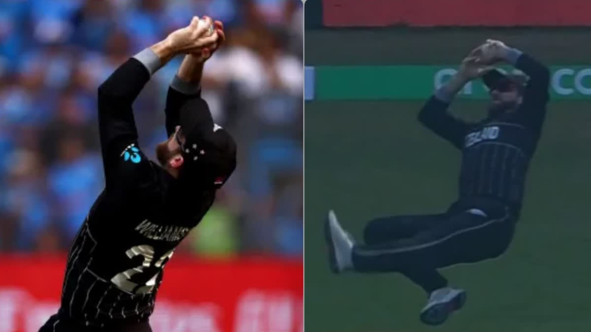 CRICKET WORLD CUP 2023 KANE WILLIAMSON TOOK BRILLIANT CATCH OF ROHIT SHARMA WATCH VIDEO