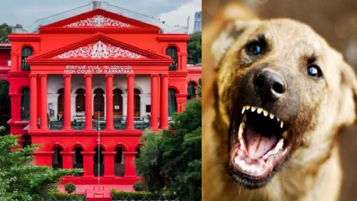 Karnataka Govt Mulling Rs 5 Lakh Compensation In Dog Bite Death Cases HC Told