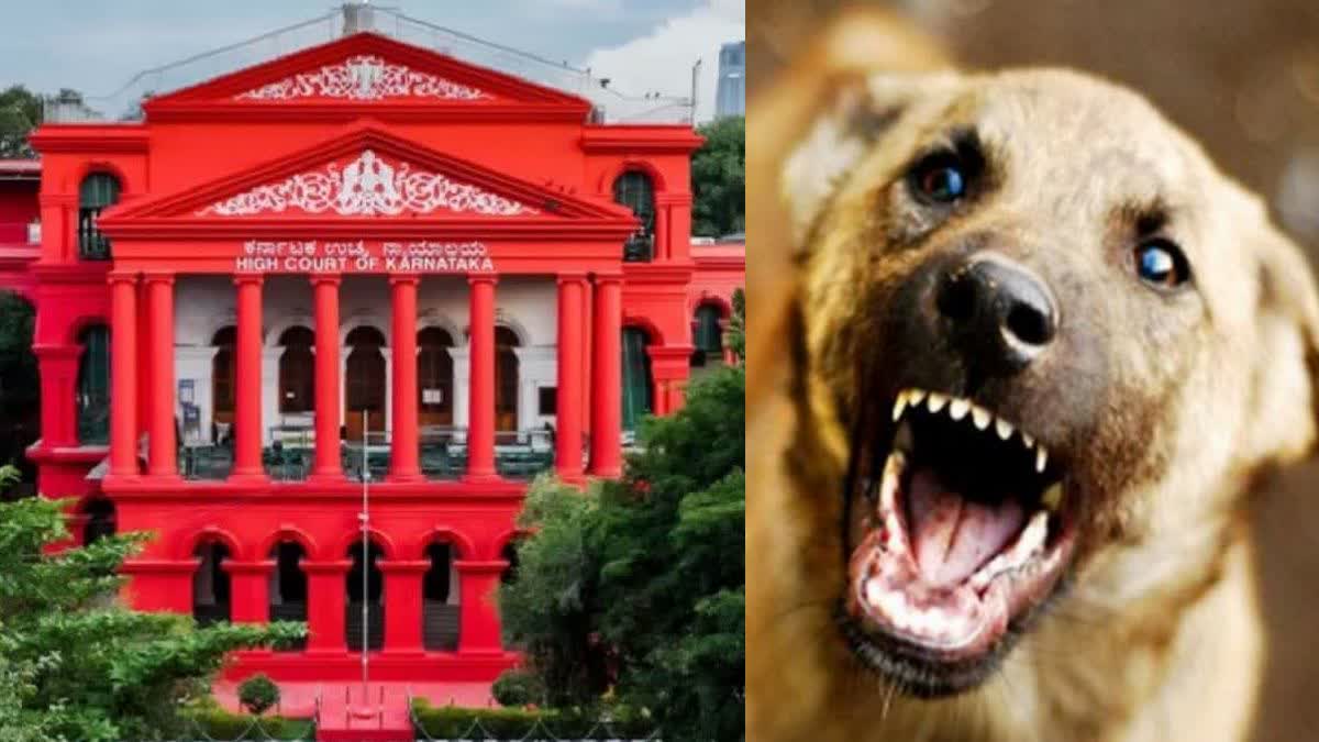 Etv Bharat 5 Lakh Compensation In Dog  Compensation for Dog  stray dogs  നായ കടിച്ച് മരിച്ചാല്‍ കുടുംബത്തിന് നഷ്‌ടപരിഹാരം  കർണാടക സർക്കാർ  Animal Birth Control Rules 2001