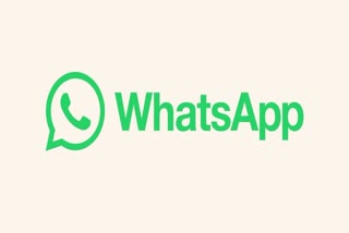 WhatsApp chat Backup