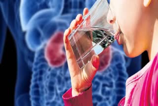 Drinking Water for Kidney Health News