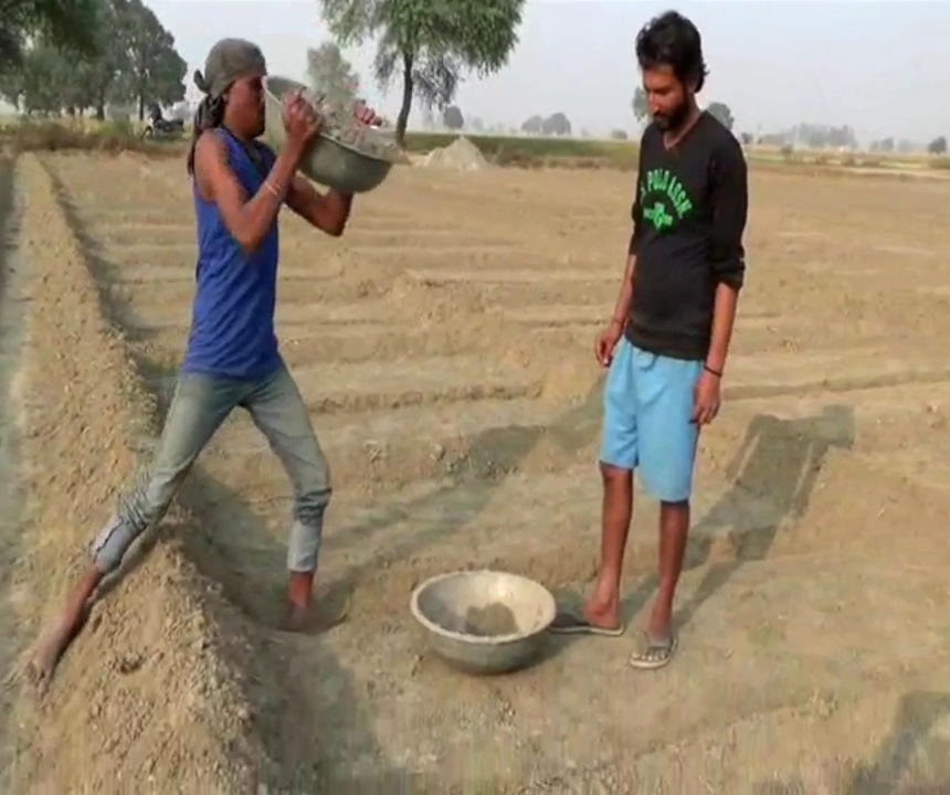 onion Farming In Haryana