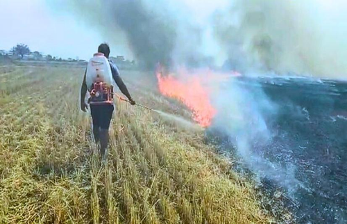 stubble burning awareness